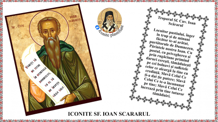 Iconite plastifiate - Icoana Sfantul Cuvios Ioan Scararul