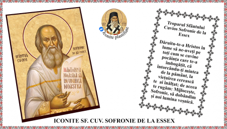 7. Iulie - Icoana Sfantul Cuvios Sofronie de la Essex