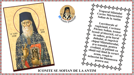 9. Septembrie - Icoana Sfantul Cuvios Marturisitor Sofian de la Antim