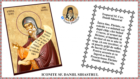 Iconite plastifiate - Icoana Sfantul Cuvios Daniil Sihastrul