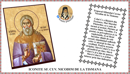 Iconite plastifiate - Icoana Sfantul Cuvios Nicodim de la Tismana