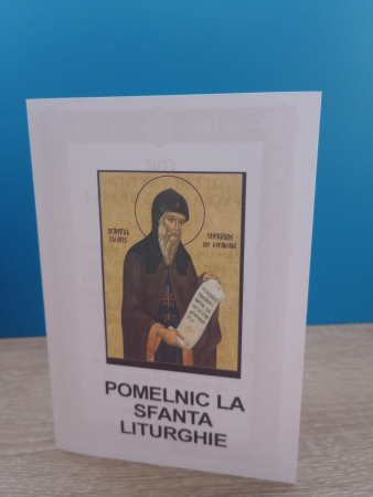 Pomelnic tipizat stil carte [3]
