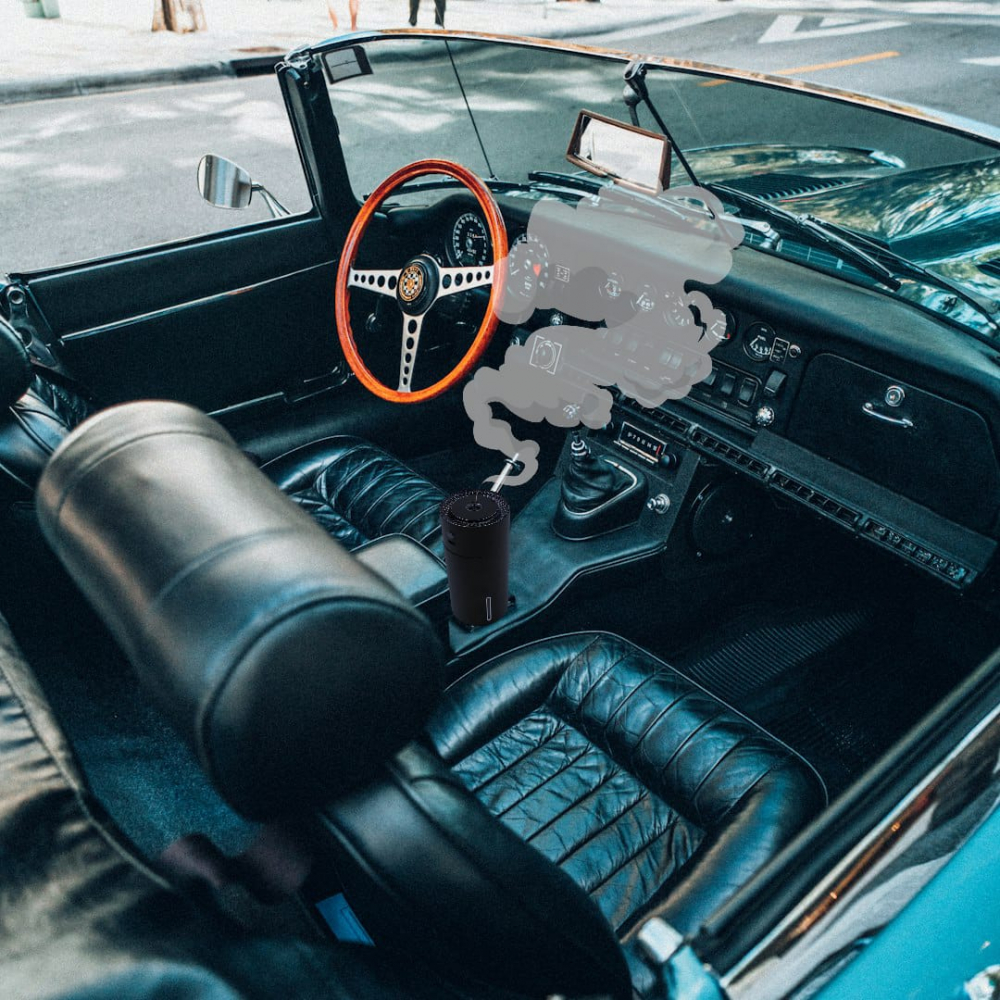 Umidificator Auto [2]