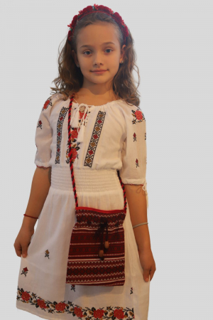 Accesorii-traistă populară [1]