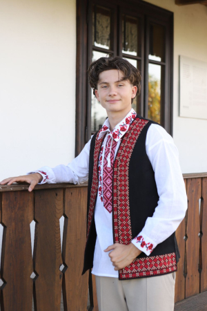 veste - Vestă bărbați  romburi regale rosii