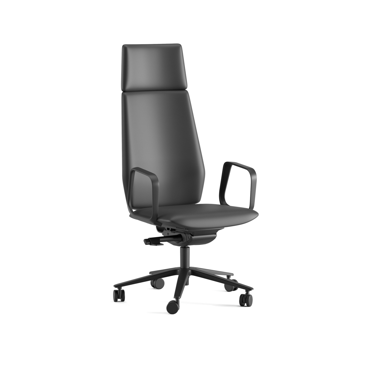 Scaun executiv TIANA [2]