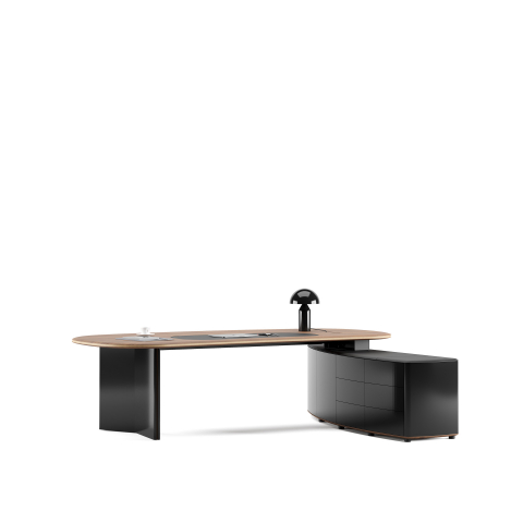 Birou executive INSULA [1]