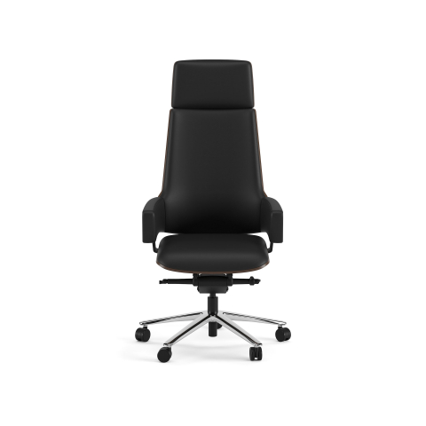 Scaun executiv CARNA [1]