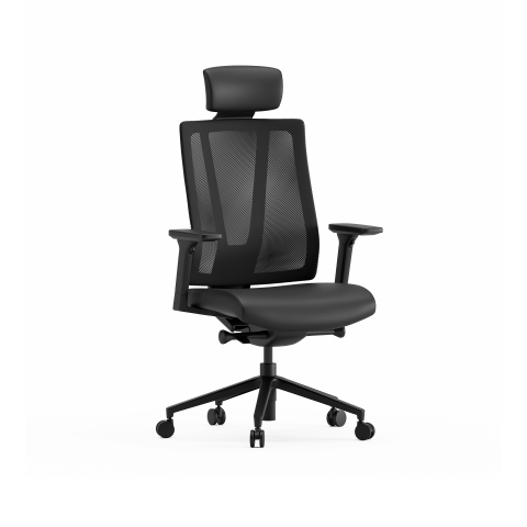 Scaun executiv PAN [1]