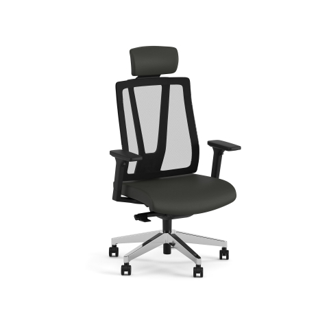 Scaun executiv PAN [2]