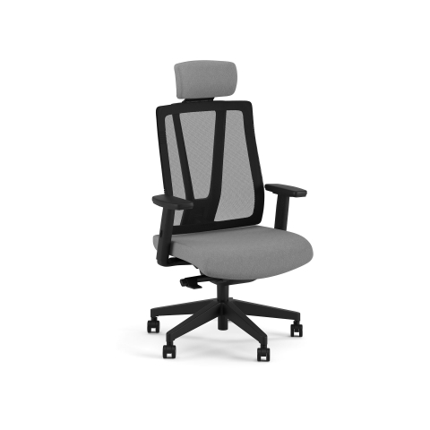 Scaun executiv PAN [3]