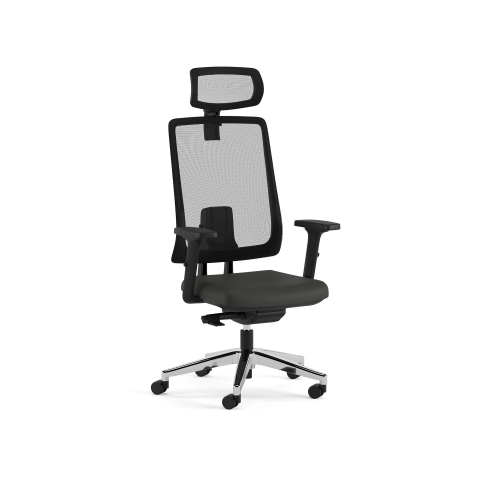 Scaune Executive - Scaun executiv SNAP