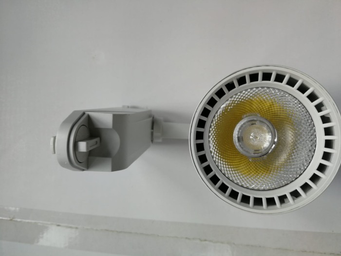 Proiector LED 24w pe sina dimabil cu telecomanda [3]