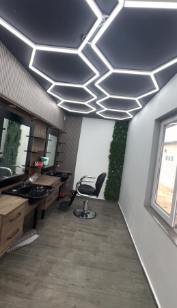 10 Hexagoane led Honeycomb [1]