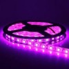 Benzi LED - Banda LED 5050 - Banda LED 5050, magenta, 60 buc/m, interior, 12W