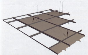 Structura si placi pentru tavane casetate [6]