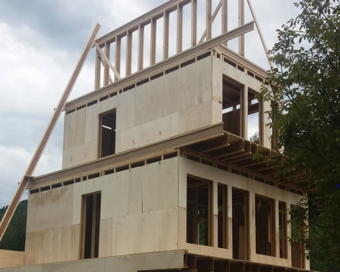 Case de lemn prefabricate [29]