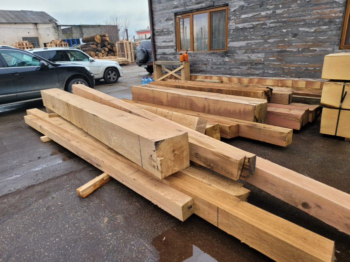 Grinzi de stejar [2]