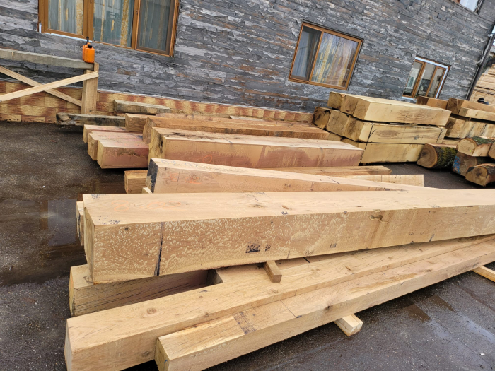 Grinzi de stejar [4]