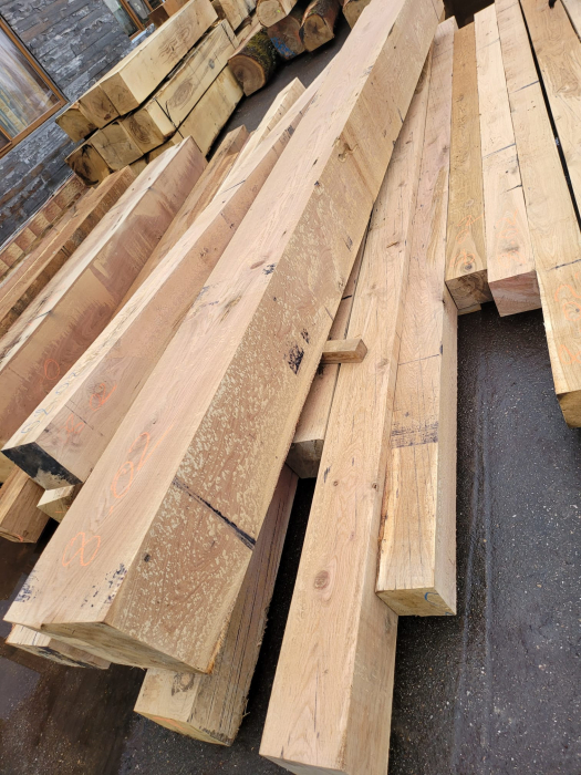 Grinzi de stejar [3]