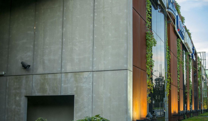 Tongue and groove fiber cement boards with wood chips [2]