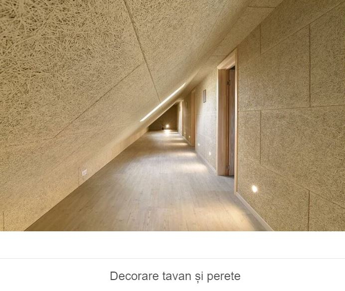 Placi finisate izolatii termice si acustice SONABLOCK [4]