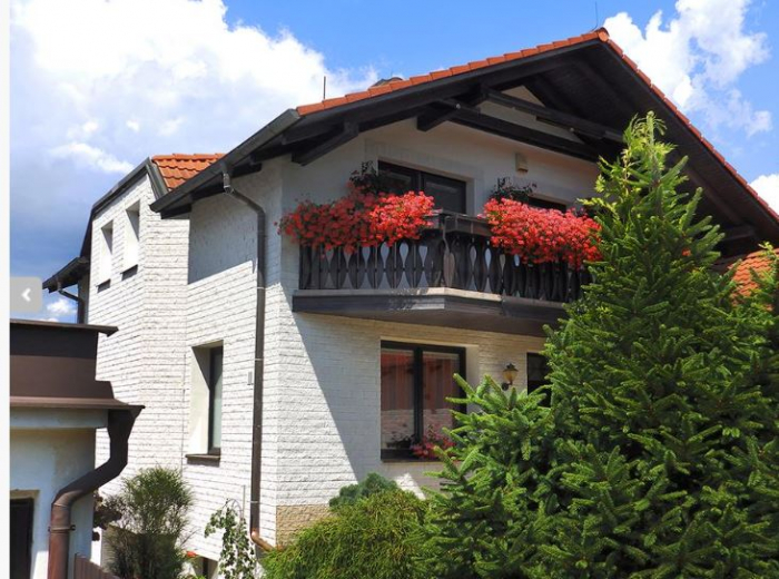 Placare exterioara ventilata din  piatra [8]