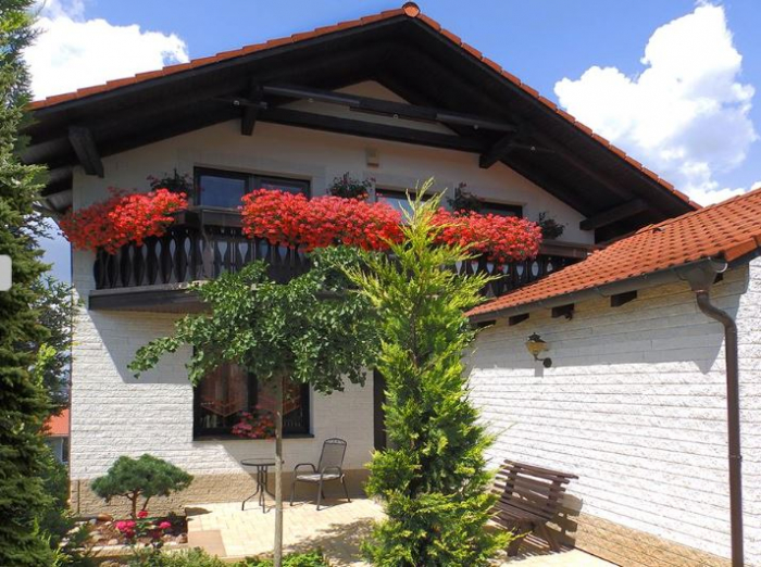 Placare exterioara ventilata din  piatra [9]