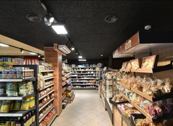 Structura si placi pentru tavane casetate [18]