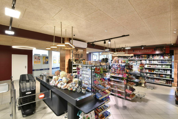 Structura si placi pentru tavane casetate [17]