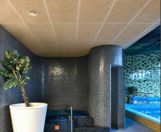 Structura si placi pentru tavane casetate [13]