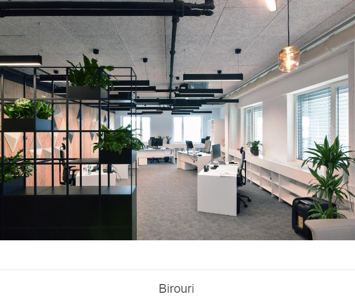 Structura si placi pentru tavane casetate [10]