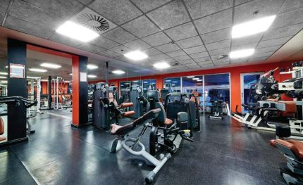 Structura si placi pentru tavane casetate [15]