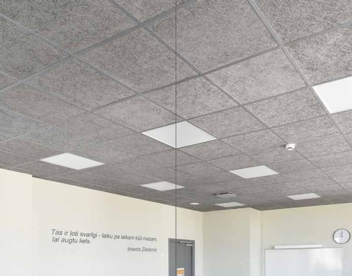 Structura si placi pentru tavane casetate [11]