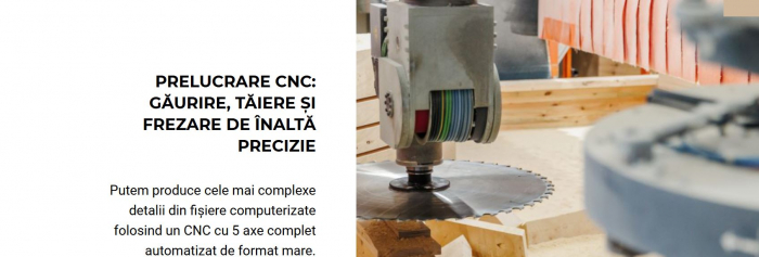 Structuri din grinzi lamelare din molid, pin, larice, zada [39]