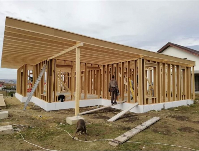 Grinzi de lemn I Joist [14]