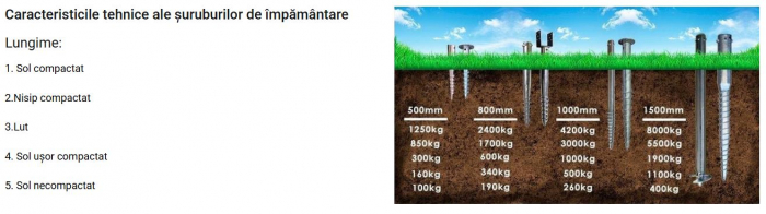 Suruburi de fundatie [8]