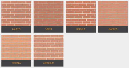 Caramida aparenta [3]