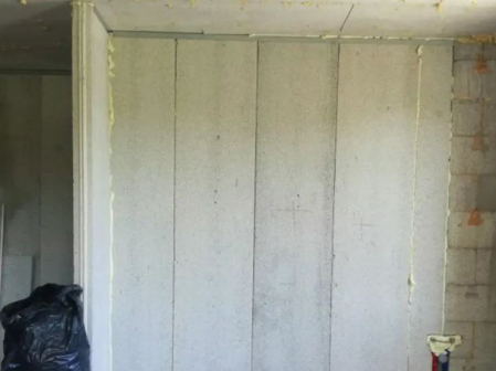 Caramizi din polistiren si beton [11]