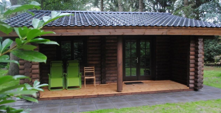 Lemn rotund calibrat pentru cabane din busteni [19]