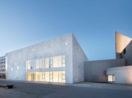 Matrite de cofrare beton pentru placari [20]