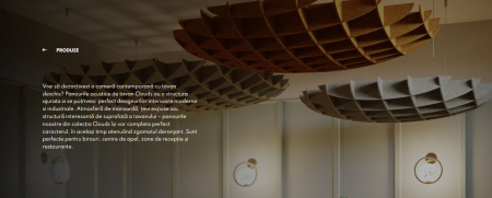 Panouri acustice decorative din fetru [10]