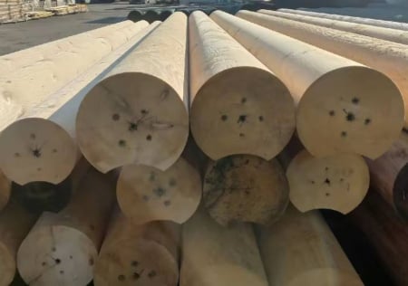 Proiecte case - Lemn rotund calibrat pentru cabane din busteni