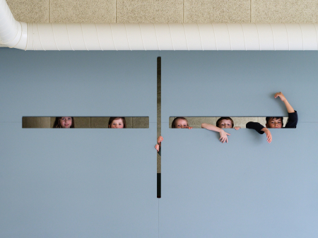 Placi finisate izolatii termice acustice Placi, fibre, naturale, presate, finisaj, carton, finisaje, interioare, sustenabile, pret, Inlocuitor gips carton, case, lemn, metalice, zidarie, paie. ecologice, ecologie [82]