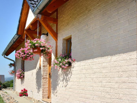 Placare exterioara ventilata din  piatra [3]