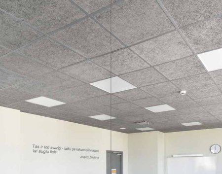 Structura si placi pentru tavane casetate [10]