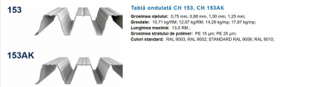 Seminee [14]