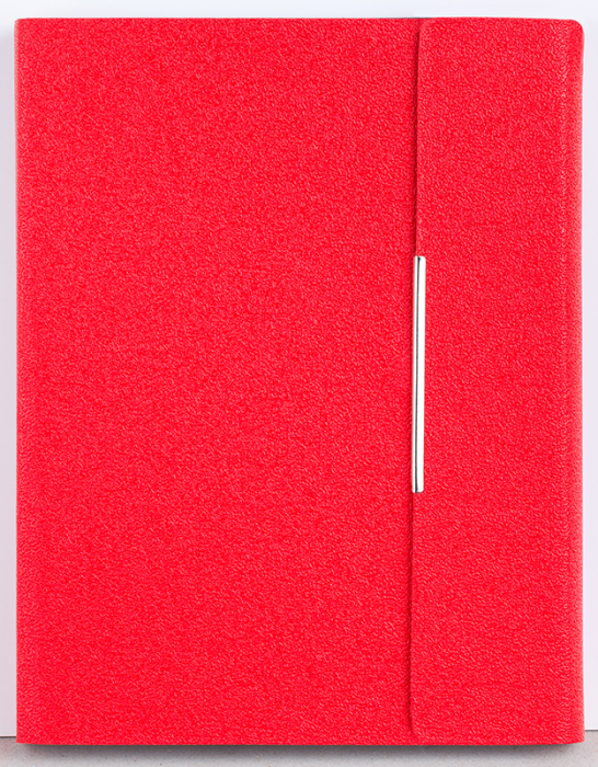Agenda nedatata ,,Tehno" [6]