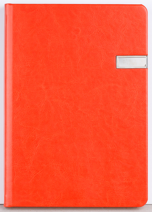 Agenda nedatata Notebook ,,USB" [5]
