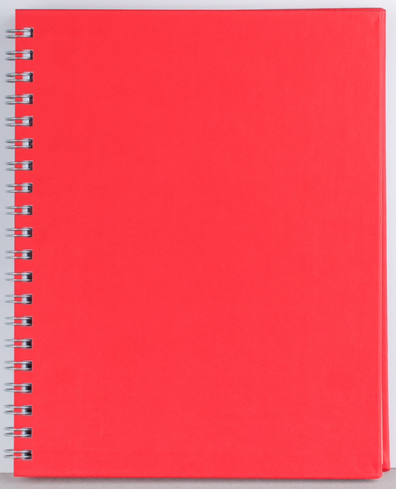 Agenda nedatata ,,Premier" [12]